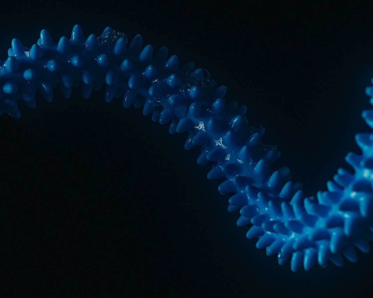 fibre cognitive health