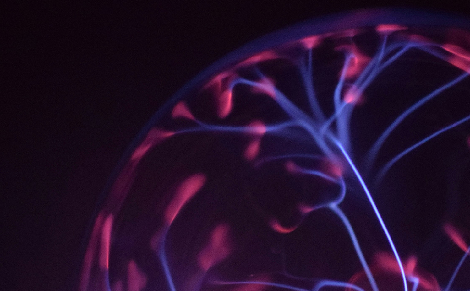 Vagus Nerve Stimulation: The Ultimate Guide