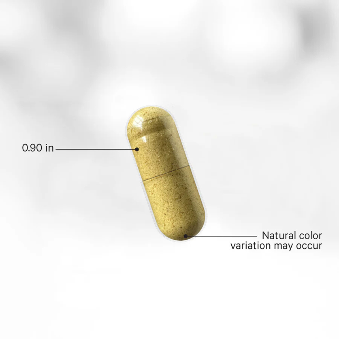 Fermented Digestive Enzymes - Image 4