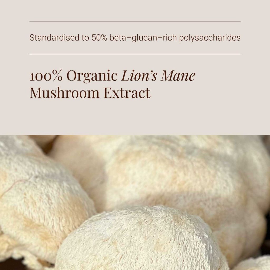 Lion's Mane Mushroom Extract - Image 4