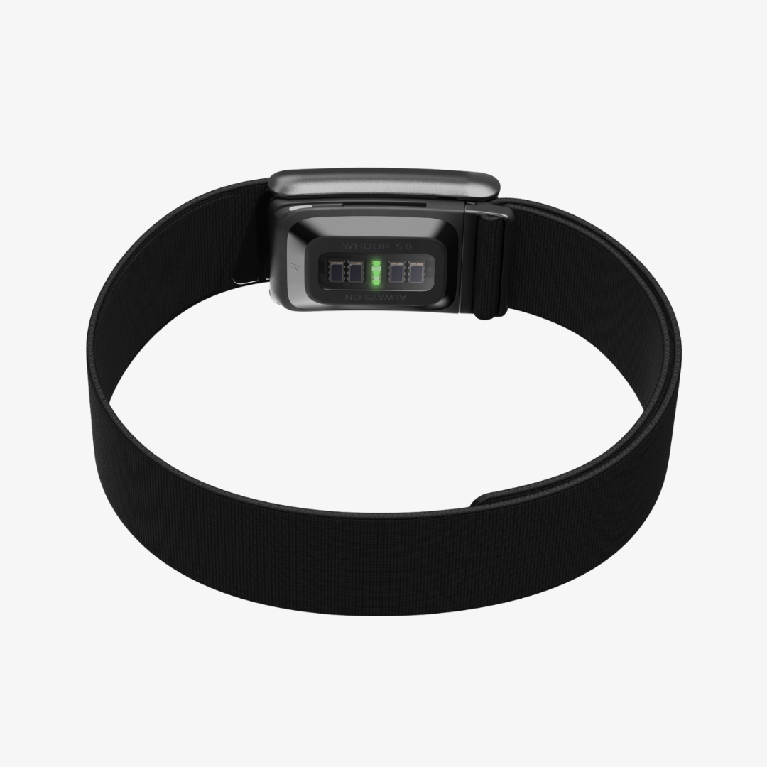 Bicep Band - Jet Black - Image 3