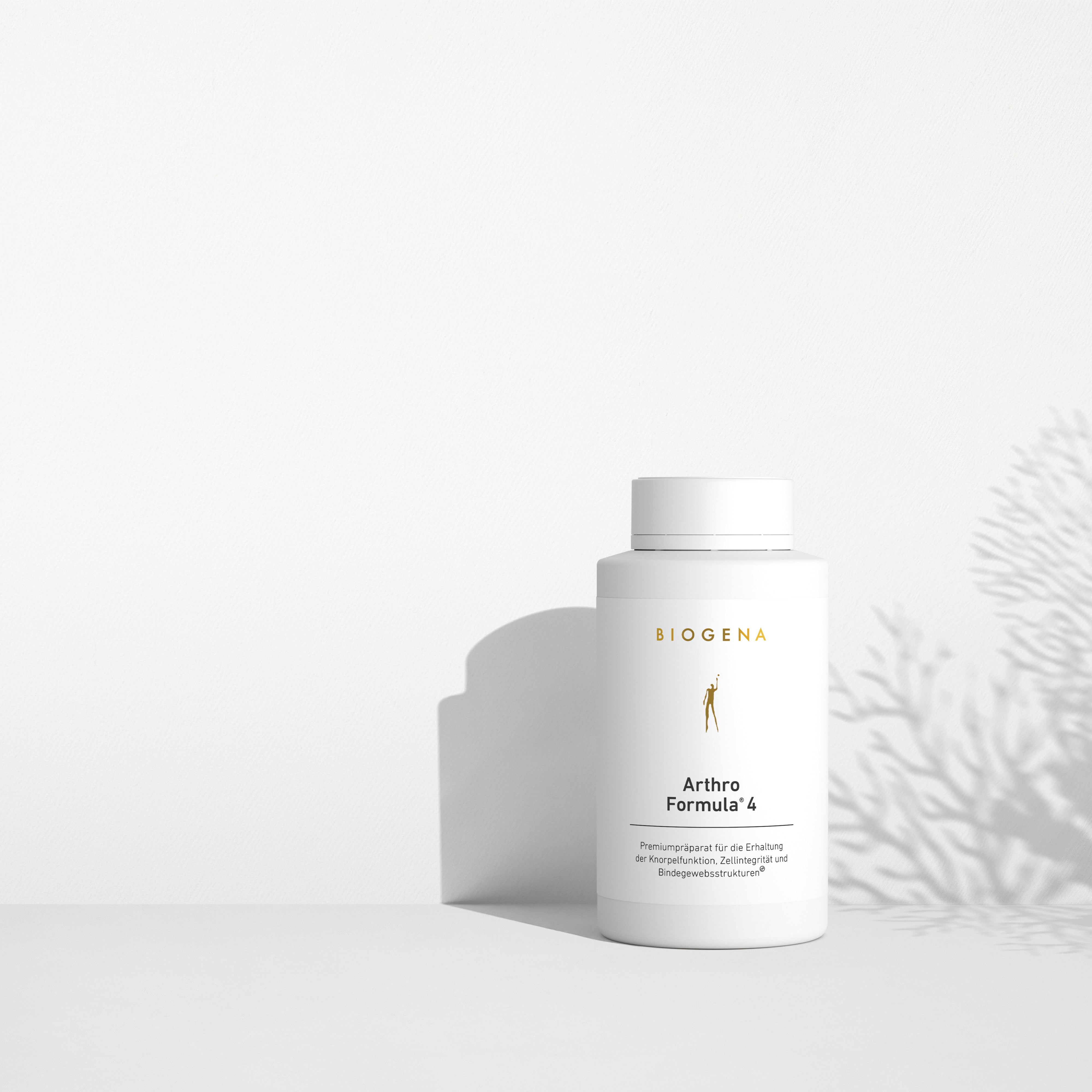 Arthro Formula 4 Gold - Image 2