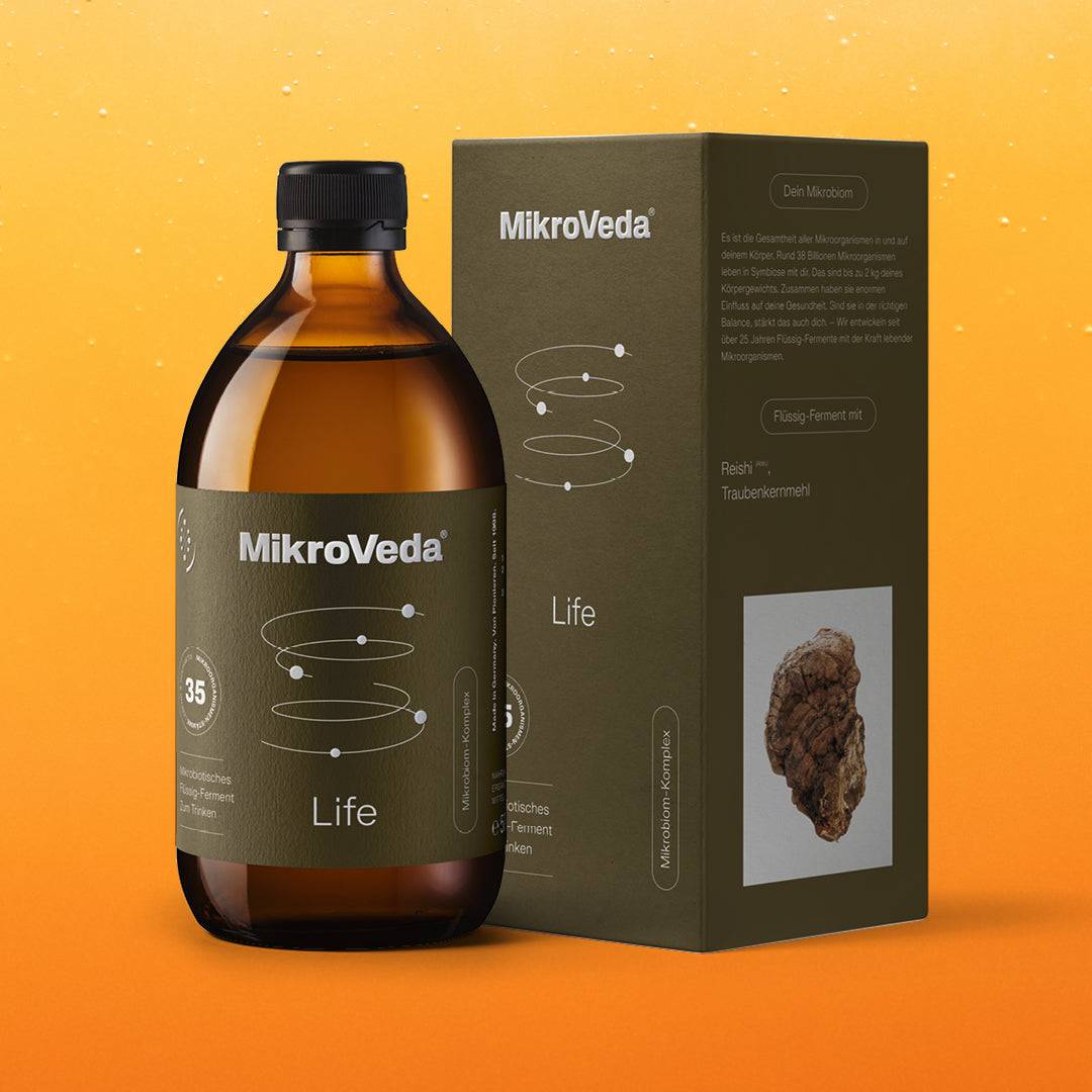 MikroVeda Life - Image 4